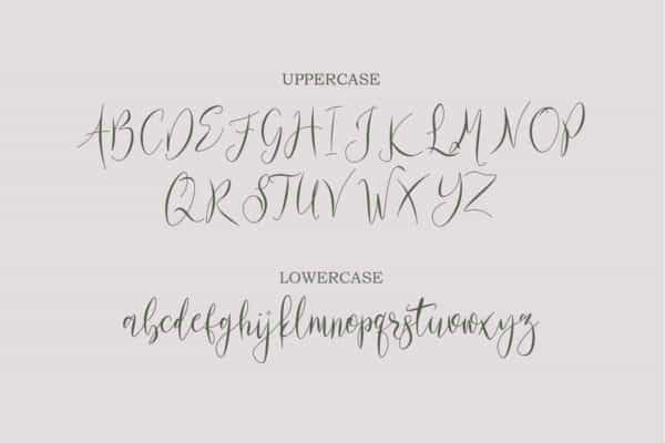 Pariss Hillton Calligraphy Font Image 3