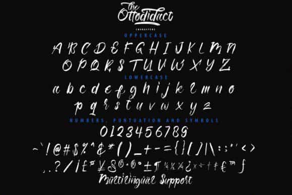 The Ottodidact Brush Font Image 3