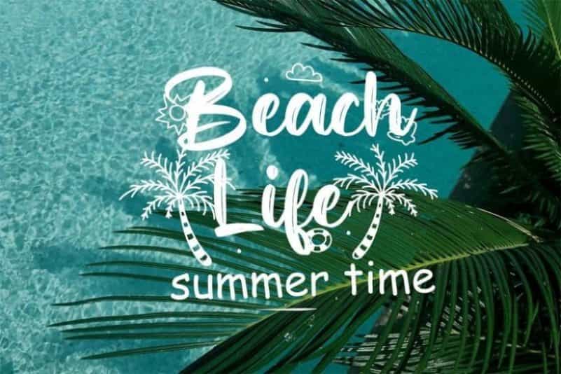 Shakies Brush Font Image 2