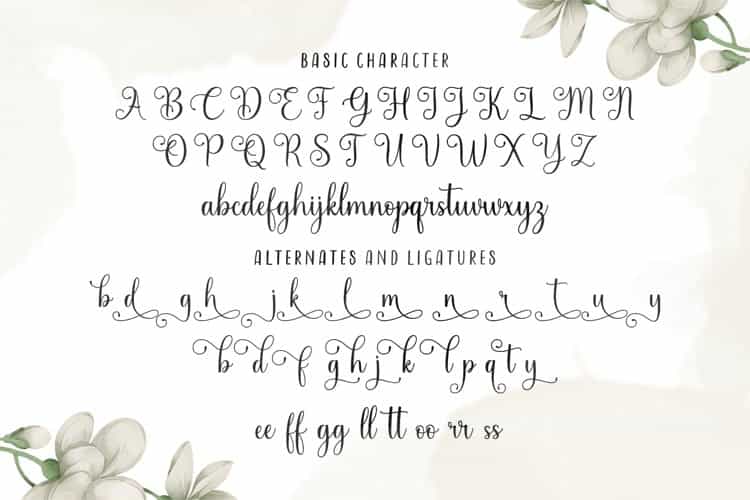 Sindentosa Calligraphy Font Image 4