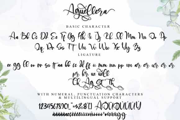 Aguellera Calligraphy Font Image 4