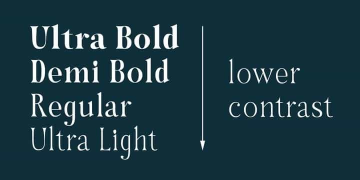 Hybridea Serif Font Family Image 2
