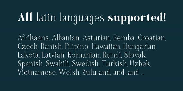 Hybridea Serif Font Family Image 3