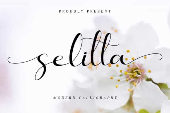 Selitta Modern Calligraphy Font Image 1