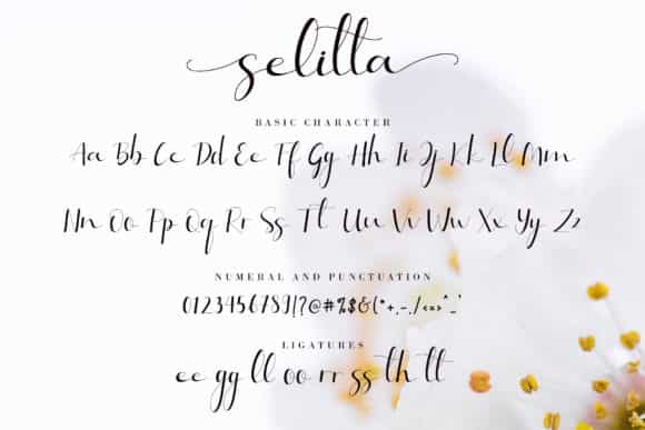 Selitta Modern Calligraphy Font Image 3