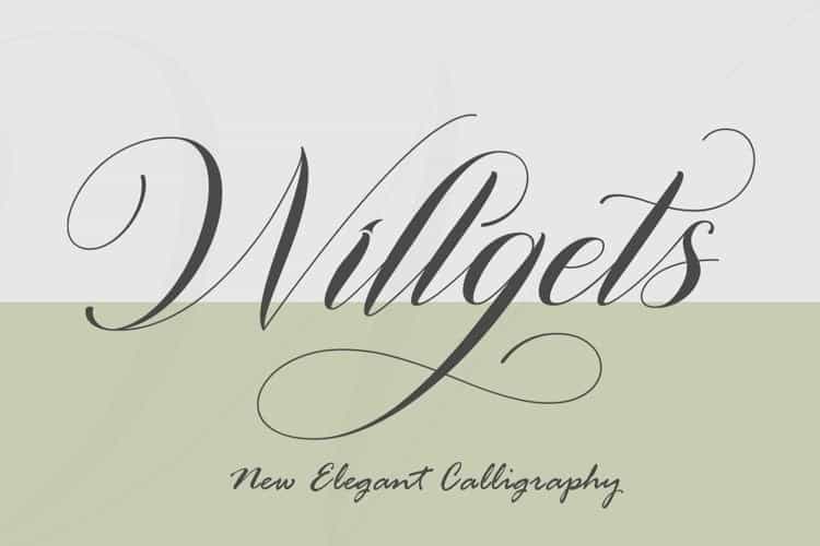 Willgets Elegant Calligraphy Font Image 1