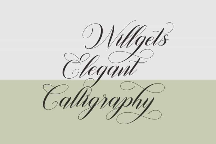 Willgets Elegant Calligraphy Font Image 2