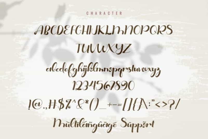 Anitya Bold Handwritten Font Image 3