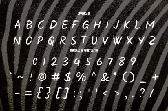 Zebra Brush Font Image 3