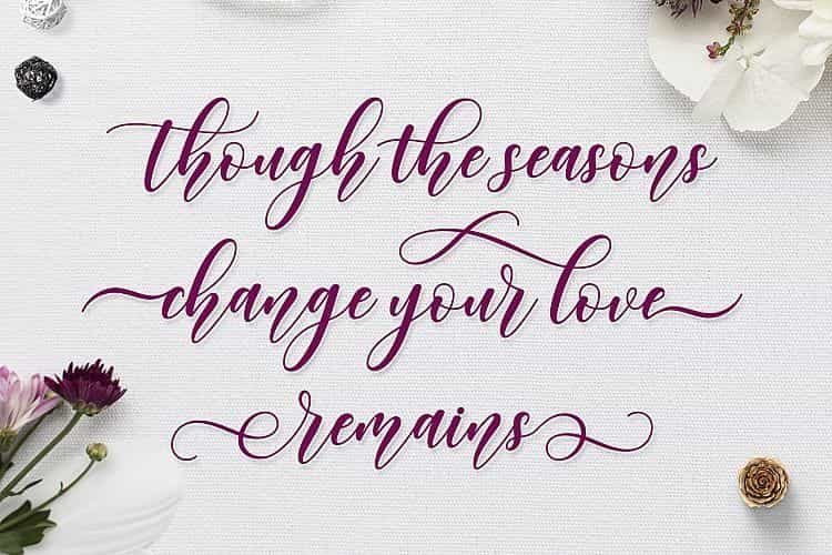 Margetta Calligraphy Font Image 2