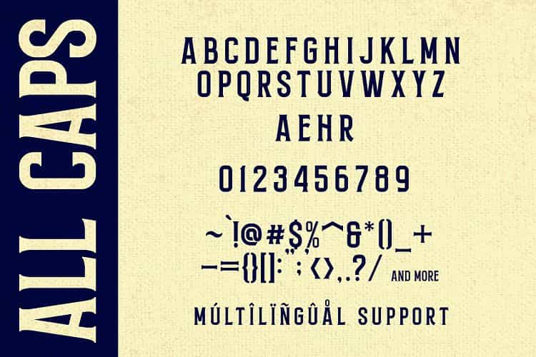 Northead Vintage Serif Font Image 3