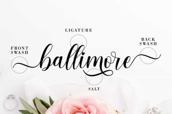 Belarose Modern Calligraphy Font Image 2