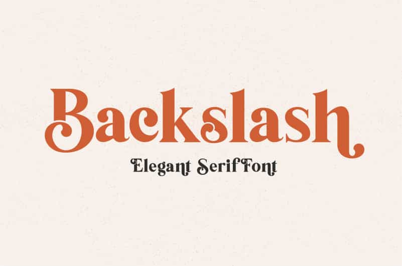 Backslash Serif Font Image 1