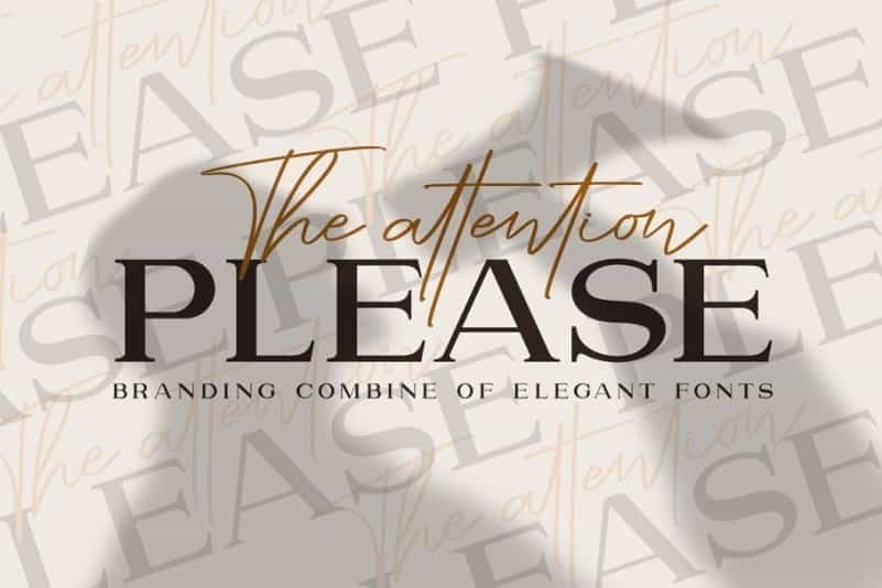 The Attention Please Font Duo Image 1