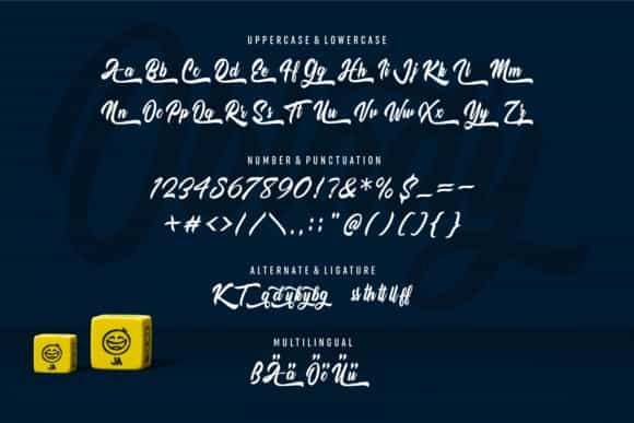 Oblady Bold Script Font Image 3