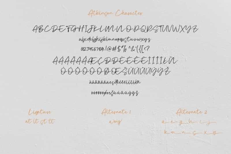 Atkinson Dry Brush Script Font Image 3