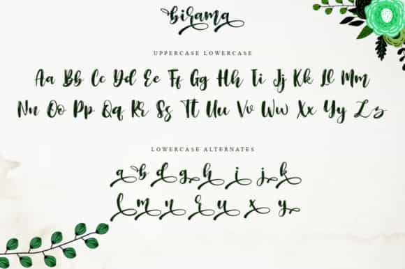 Birama Calligraphy Script Font Image 3
