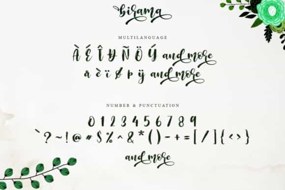 Birama Calligraphy Script Font Image 4