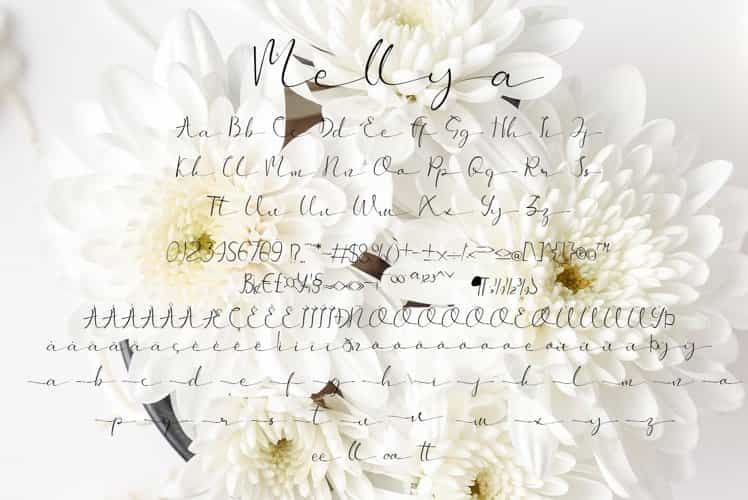 Mellya Calligraphy Script Font Image 3