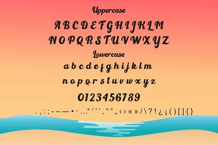 Light Beach Bold Script Font Image 3