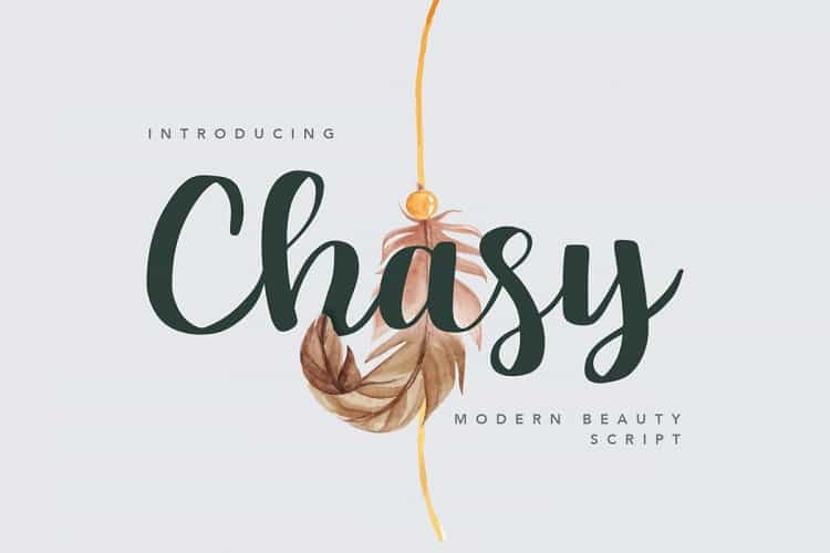 Chasy Beauty Calligraphy Font Image 1