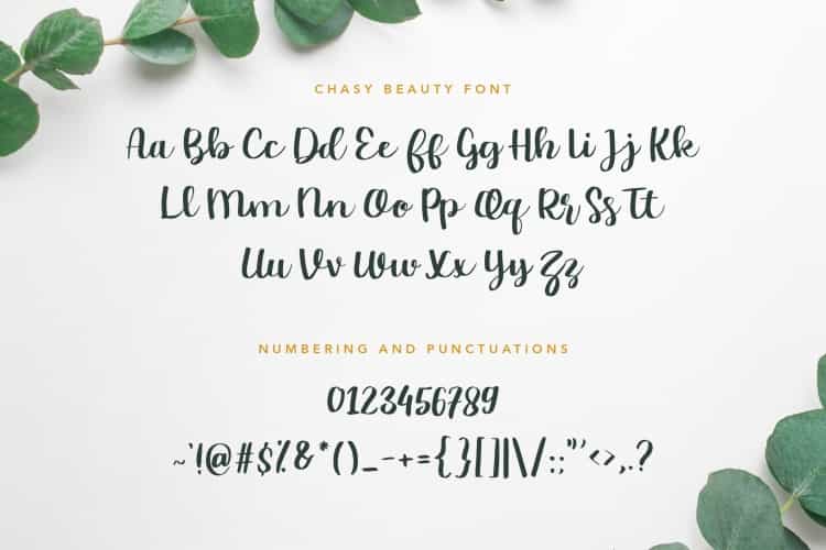 Chasy Beauty Calligraphy Font Image 3
