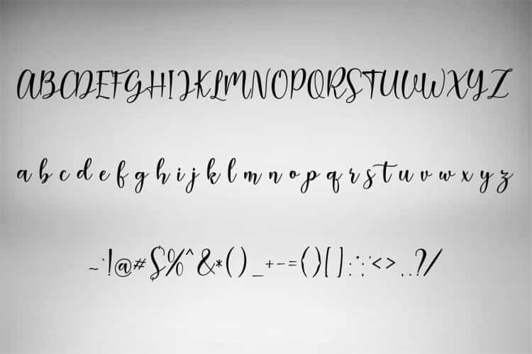Magnum Modern Calligraphy Font Image 3