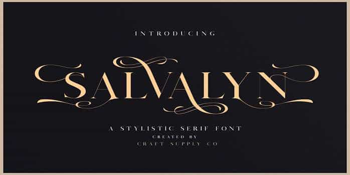 Salvalyn Font Image 1