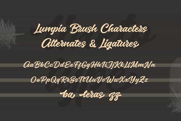 Lumpia Brush Script Font Image 3