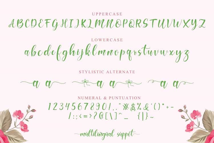 Hello Melda Modern Calligraphy Font Image 2
