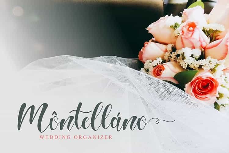 Hello Melda Modern Calligraphy Font Image 3