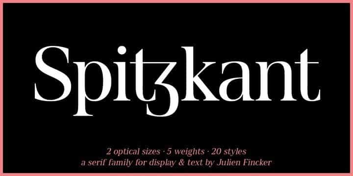 Spitzkant Serif Font Image 1