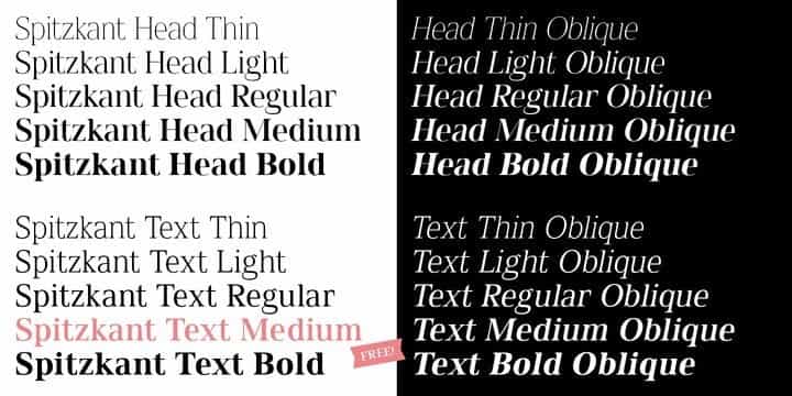 Spitzkant Serif Font Image 2