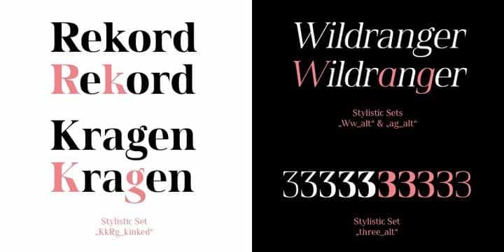 Spitzkant Serif Font Image 3