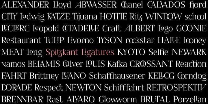 Spitzkant Serif Font Image 4
