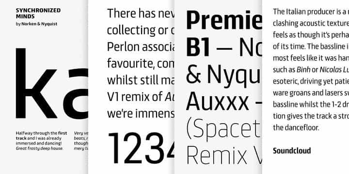 Scansky Sans Serif Font Image 3