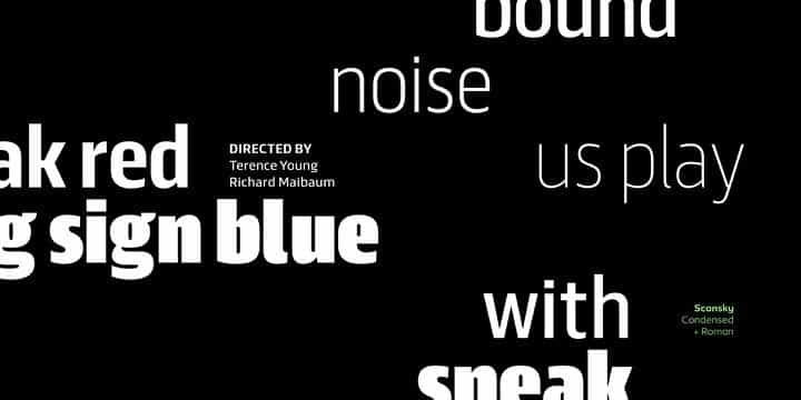 Scansky Sans Serif Font Image 4