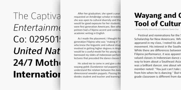 Aretha Sans Serif Font Image 2