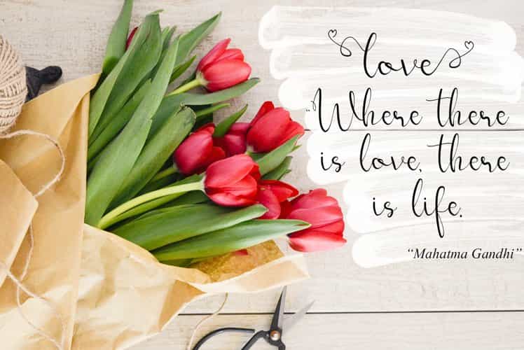 Sellea Modern Calligraphy Font Image 2