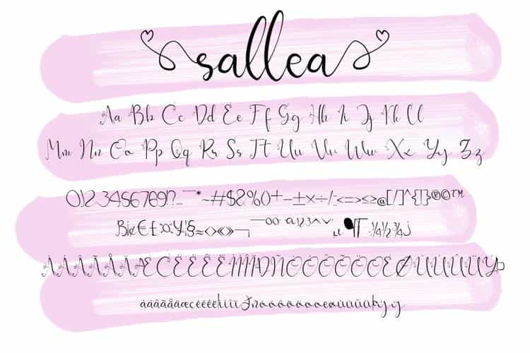 Sellea Modern Calligraphy Font Image 3