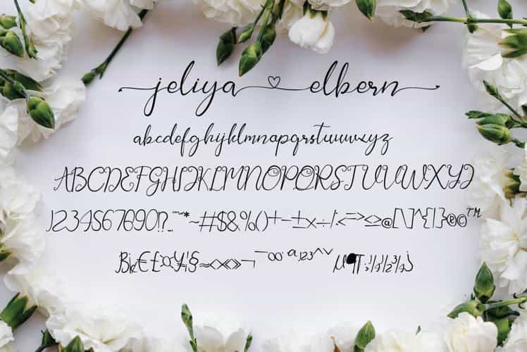 Jeliya Elbern Calligraphy Font Image 3
