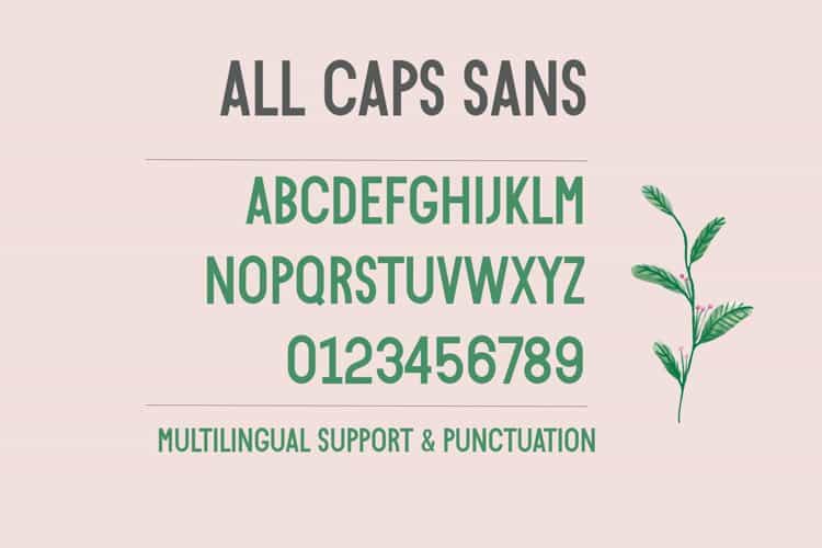 Bonjour de Jong Font Duo Image 3
