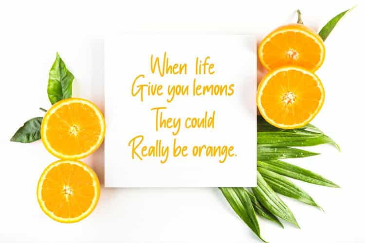 Orange Blossom Handwritten Font Image 2