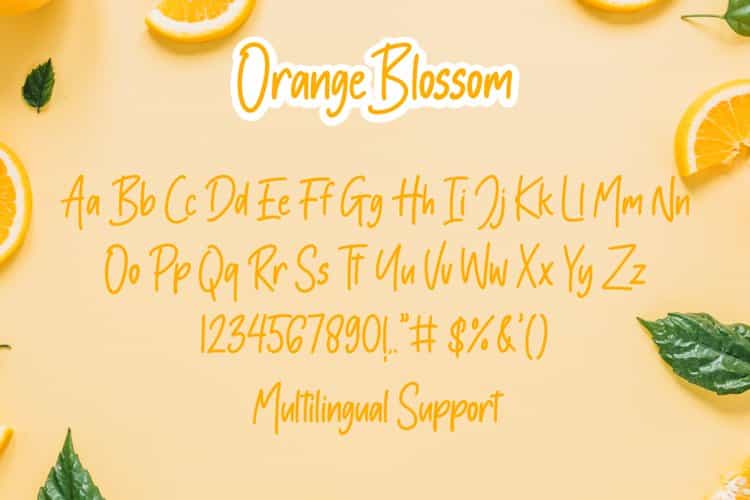 Orange Blossom Handwritten Font Image 3