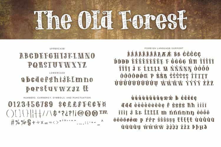 The Old Forest Handdrawn Serif Font Image 2