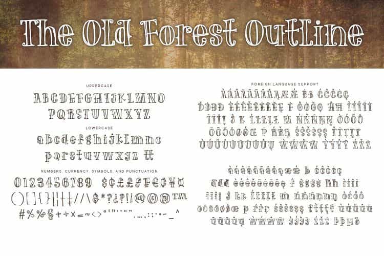 The Old Forest Handdrawn Serif Font Image 3