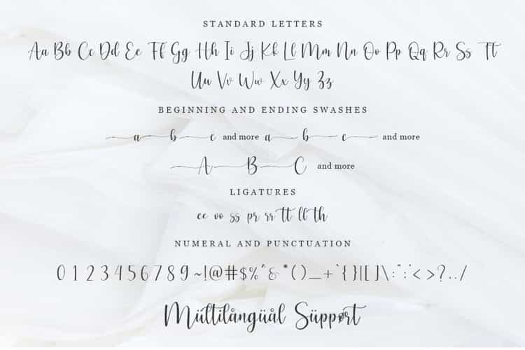 Cosette Calligraphy Script Font Image 3