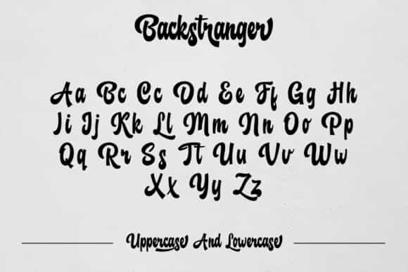 Backstranger Bold Script Font Image 3