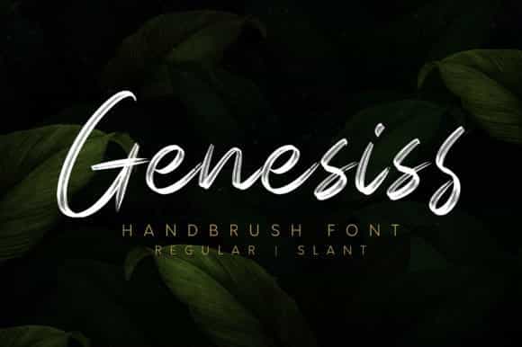 Genesiss Brush Font Image 1