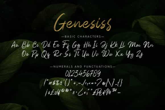 Genesiss Brush Font Image 3
